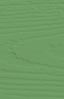 Pistachio Green