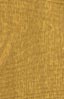 Golden Oak